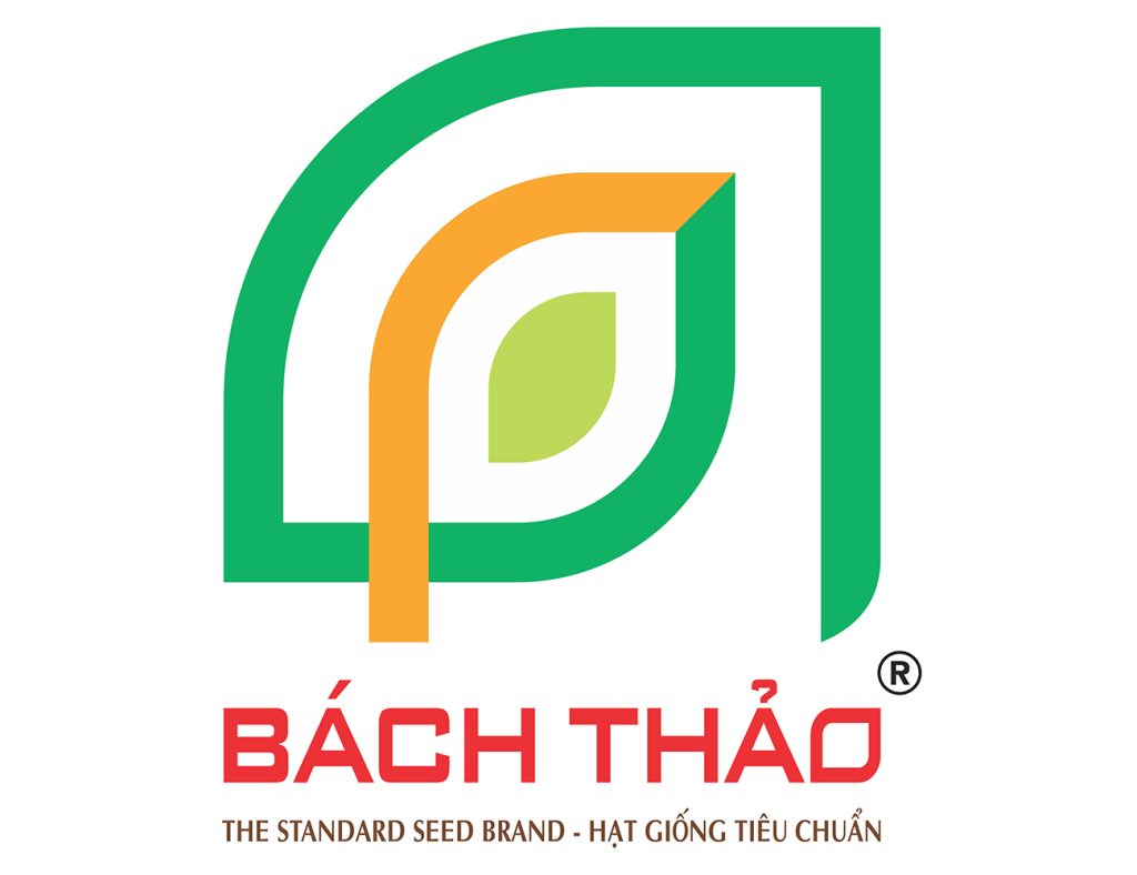 Bach Thao